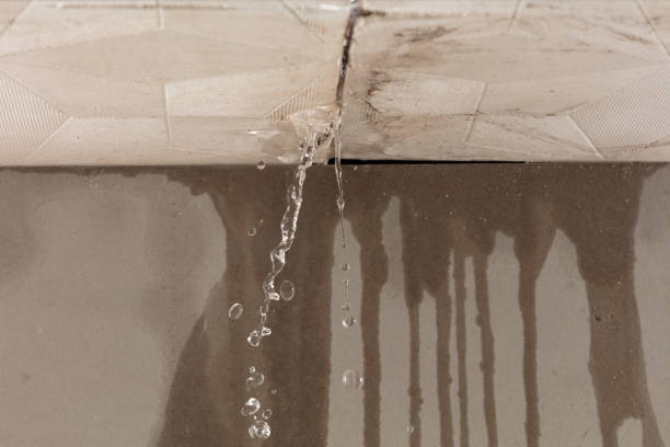 Professional Flood Damage Cleanup technician working in Roca, NE